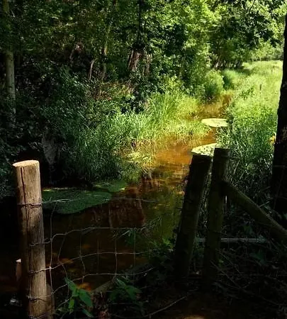 't Hertje