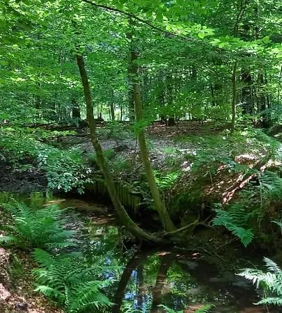 't Hertje Ermelo