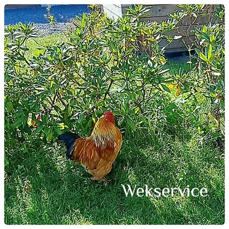 't Hertje アパート