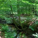 't Hertje Ermelo