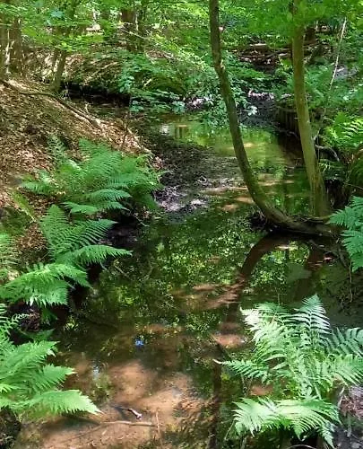 't Hertje Appartement Ermelo